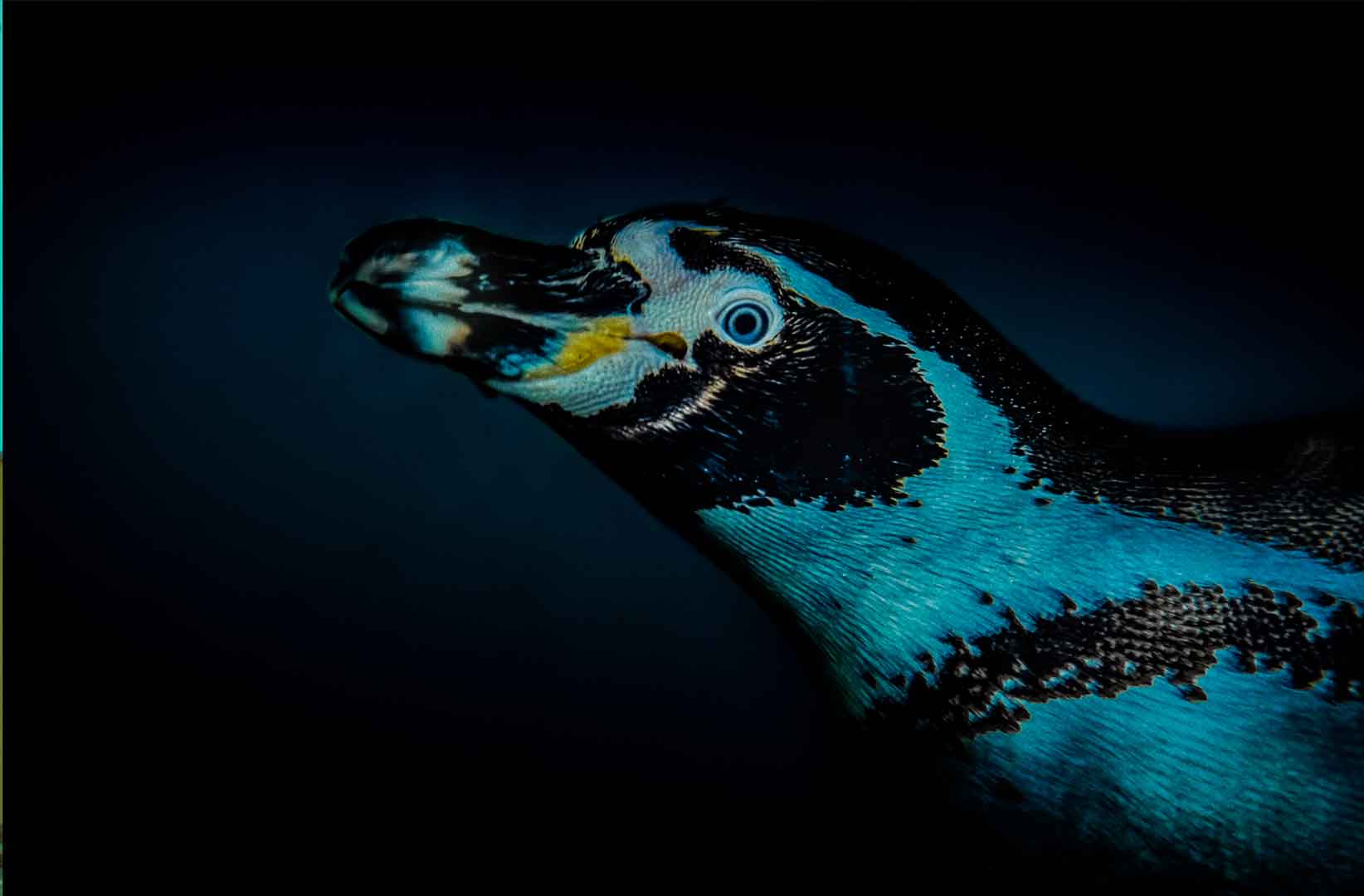 Fotografía comercial especializada en productos corporativos